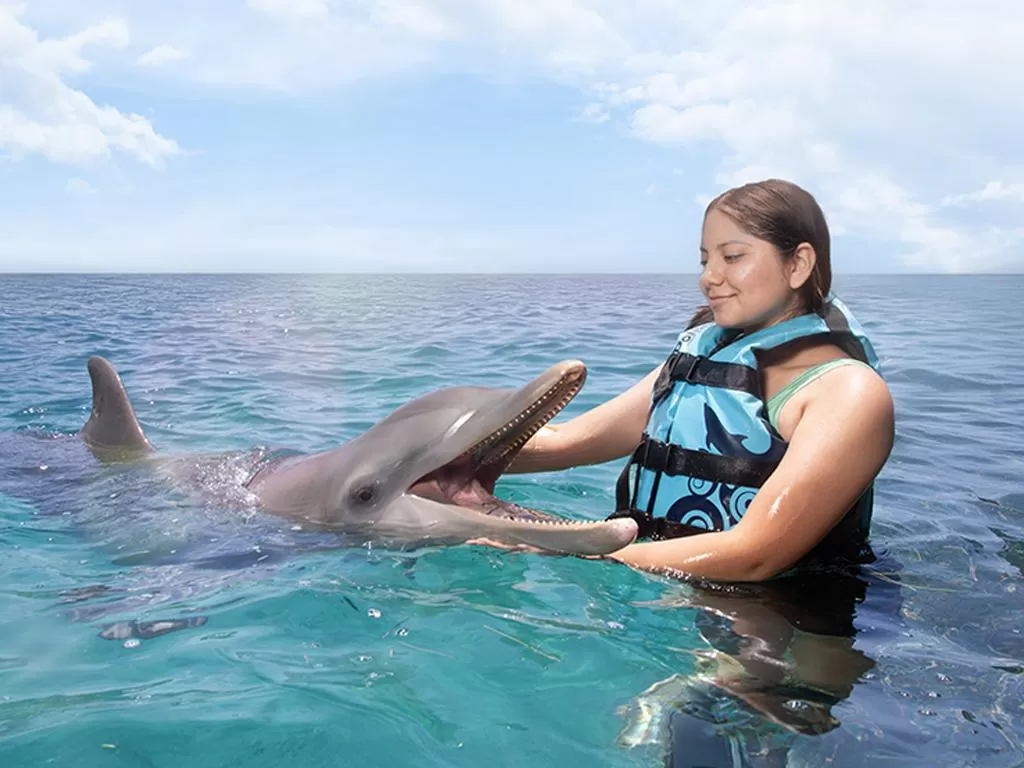 Dolphin Discovery Isla Mujeres, Cancún