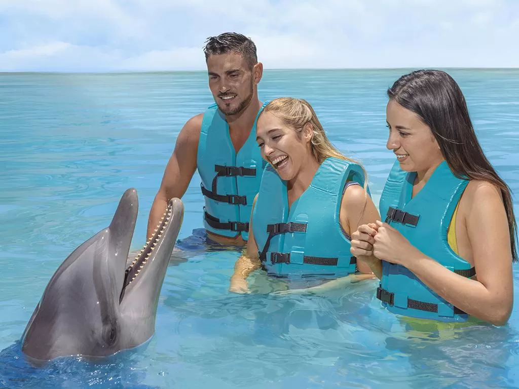 Dolphin Discovery Isla Mujeres, Cancún