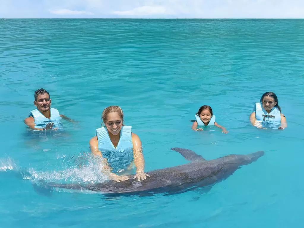 Dolphin Discovery Isla Mujeres, Cancún