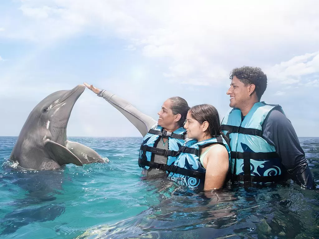 Dolphin Discovery Isla Mujeres, Cancún