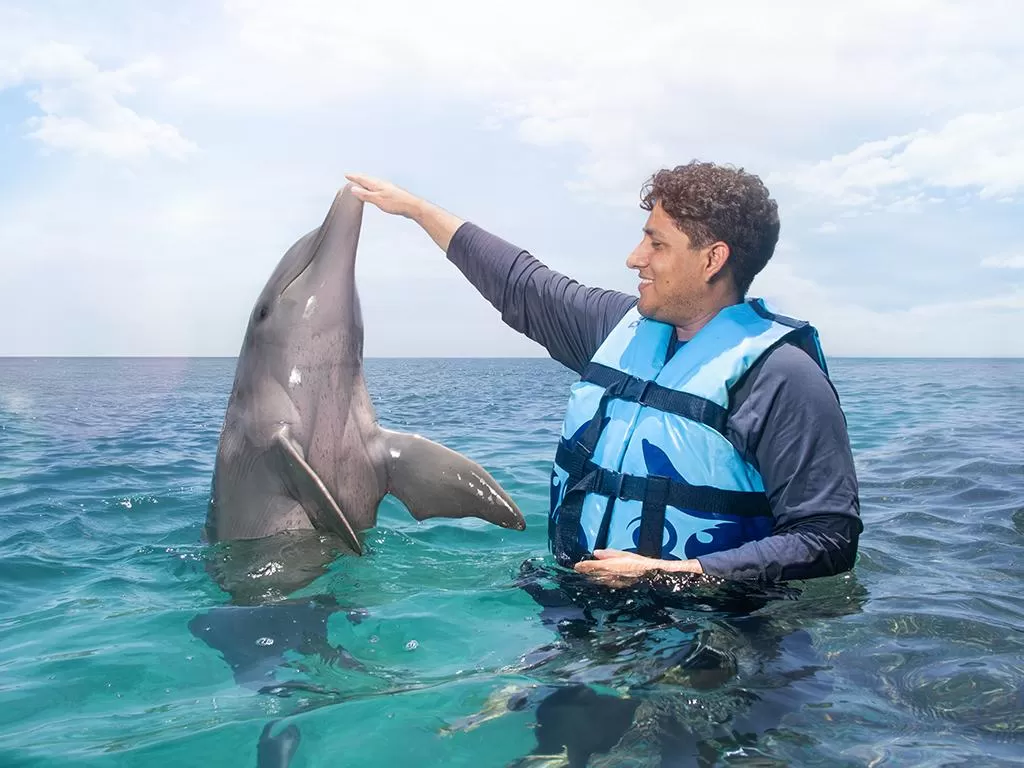 Dolphin Discovery Isla Mujeres, Cancún