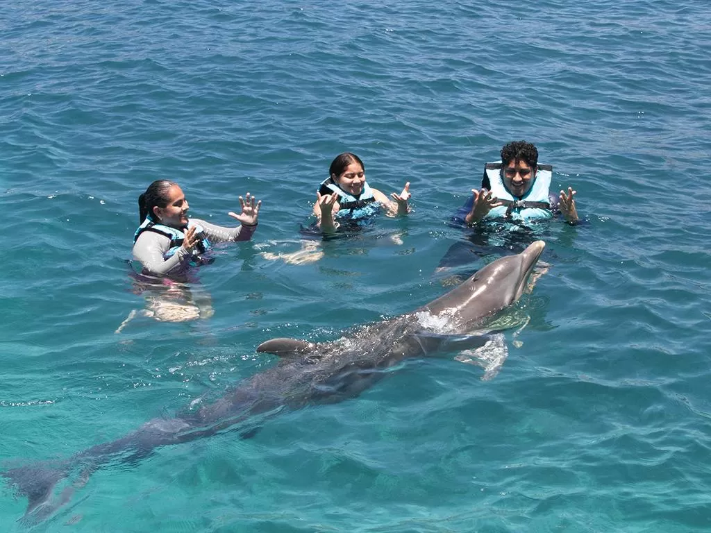 Dolphin Discovery Isla Mujeres, Cancún