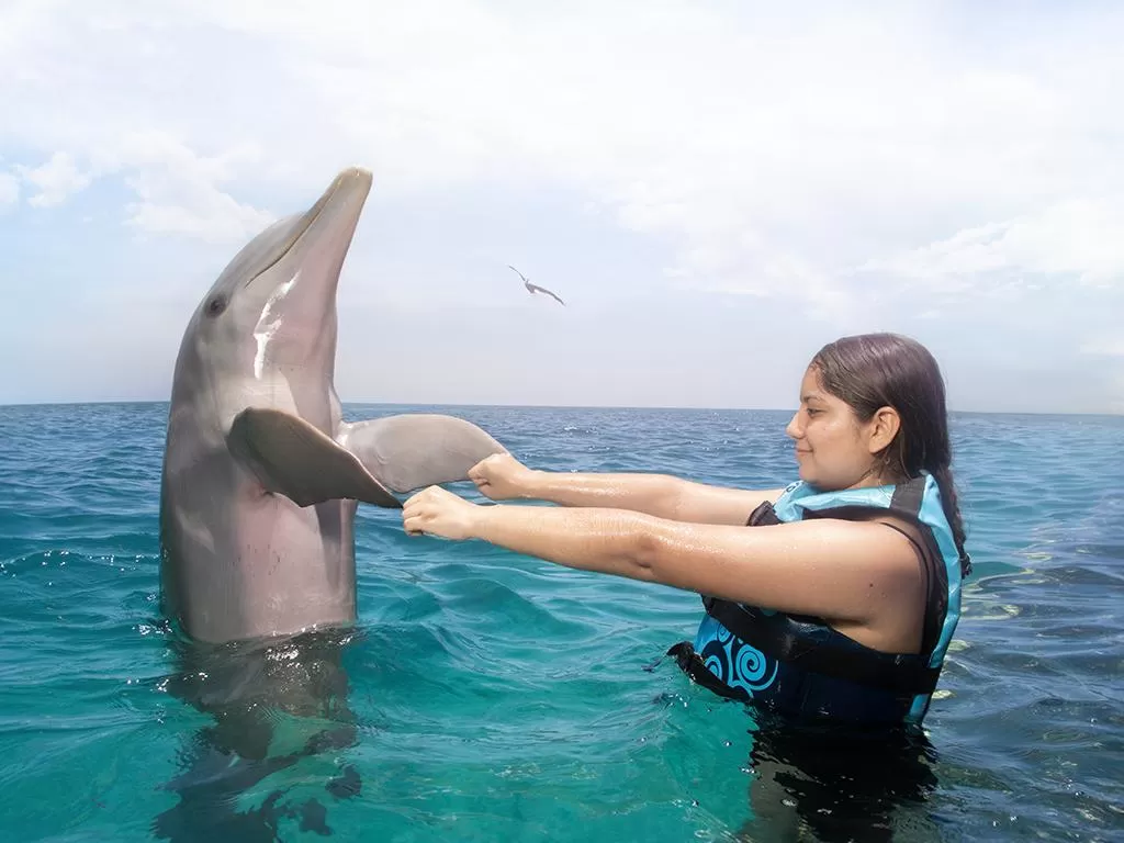 Dolphin Discovery Isla Mujeres, Cancún