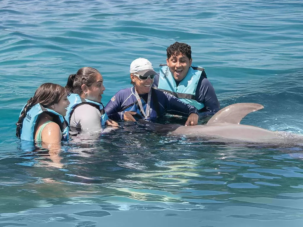 Dolphin Discovery Isla Mujeres, Cancún