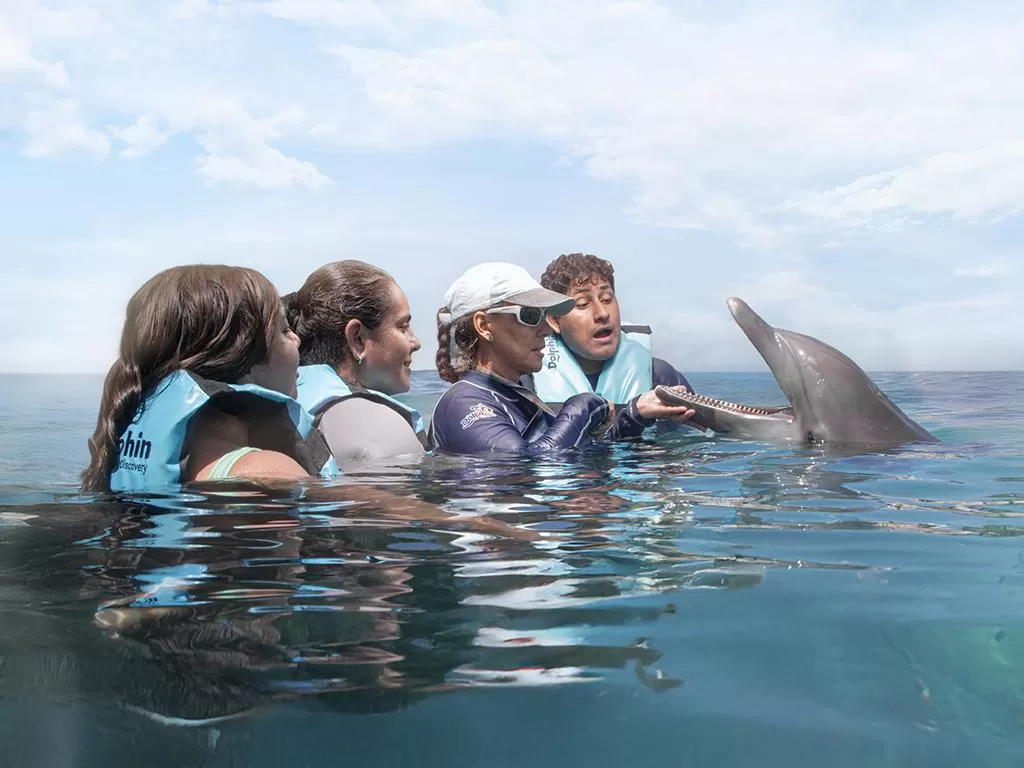 Dolphin Discovery Isla Mujeres, Cancún
