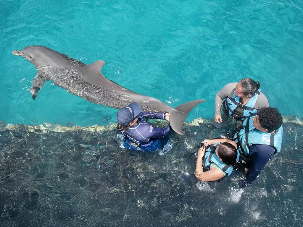 Dolphin Discovery Isla Mujeres, Cancún