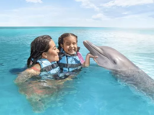 Dolphin Discovery Isla Mujeres, Cancún