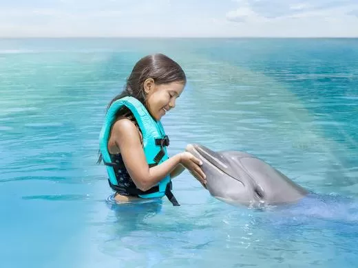 Dolphin Discovery Isla Mujeres, Cancún