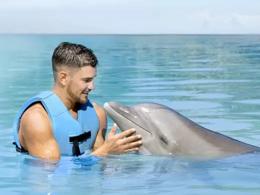 Dolphin Discovery Isla Mujeres, Cancún
