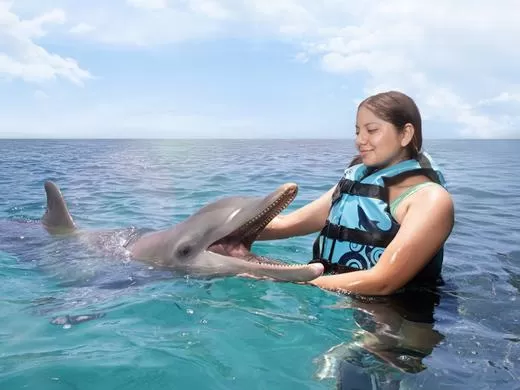Dolphin Discovery Isla Mujeres, Cancún