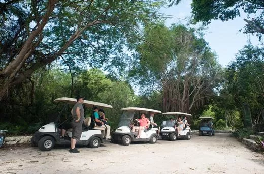 Wild On Eco Tour