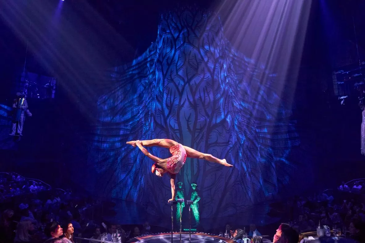 Cirque Du Soleil JOYÁ