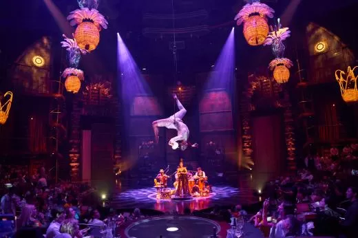 Cirque Du Soleil JOYÁ
